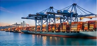 Importers & Exporters